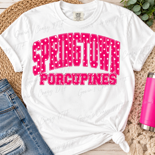 Springtown Porcupines DTF
