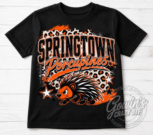Springtown Porcupines DTF